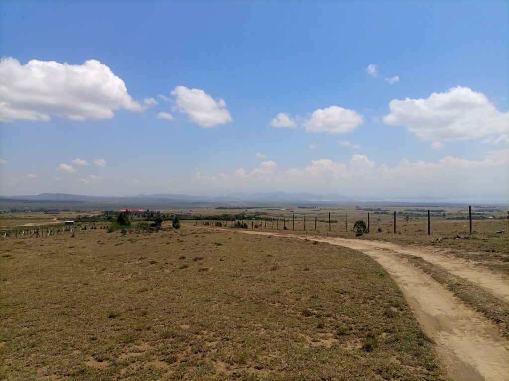PLOTS FOR SALE – NAIVASHA, MWICHIRINGIRI