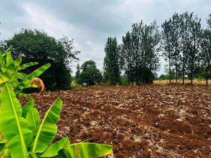 SAGANA PRIME PLOTS FOR SALE – PHASE I